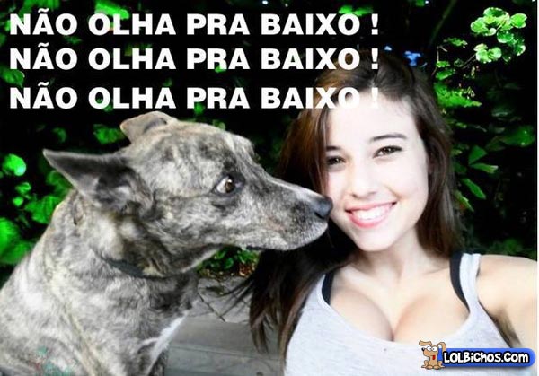 http://www.ahnegao.com.br/wp-content/uploads/2012/03/cachorros-e-seus-serios-problemas.jpg