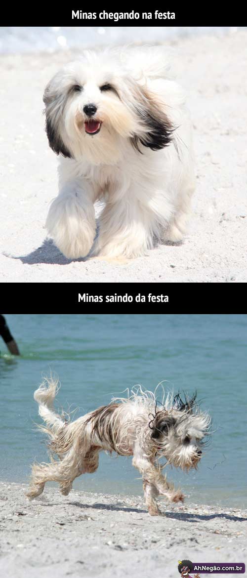 festa.jpg