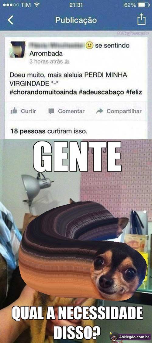 arrombada.jpg