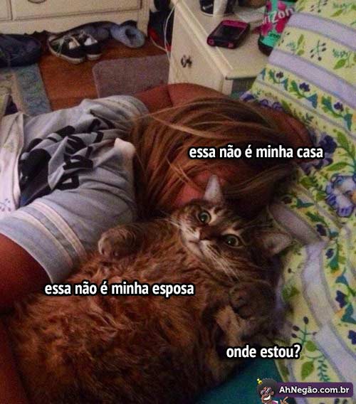 onde.jpg