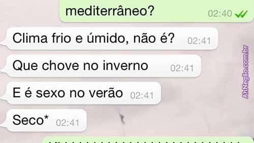 corretor (17)