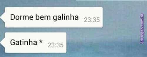 corretor (21)