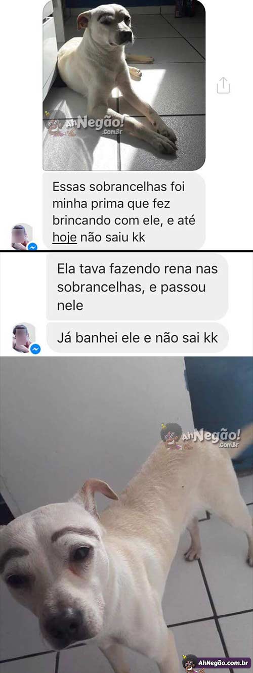 sobrancelha