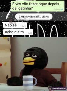 As Crônicas de Brisolo: o rolê indefinido