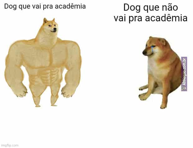 Memes engraçados e aleatorios (@Gabs_8833) / X