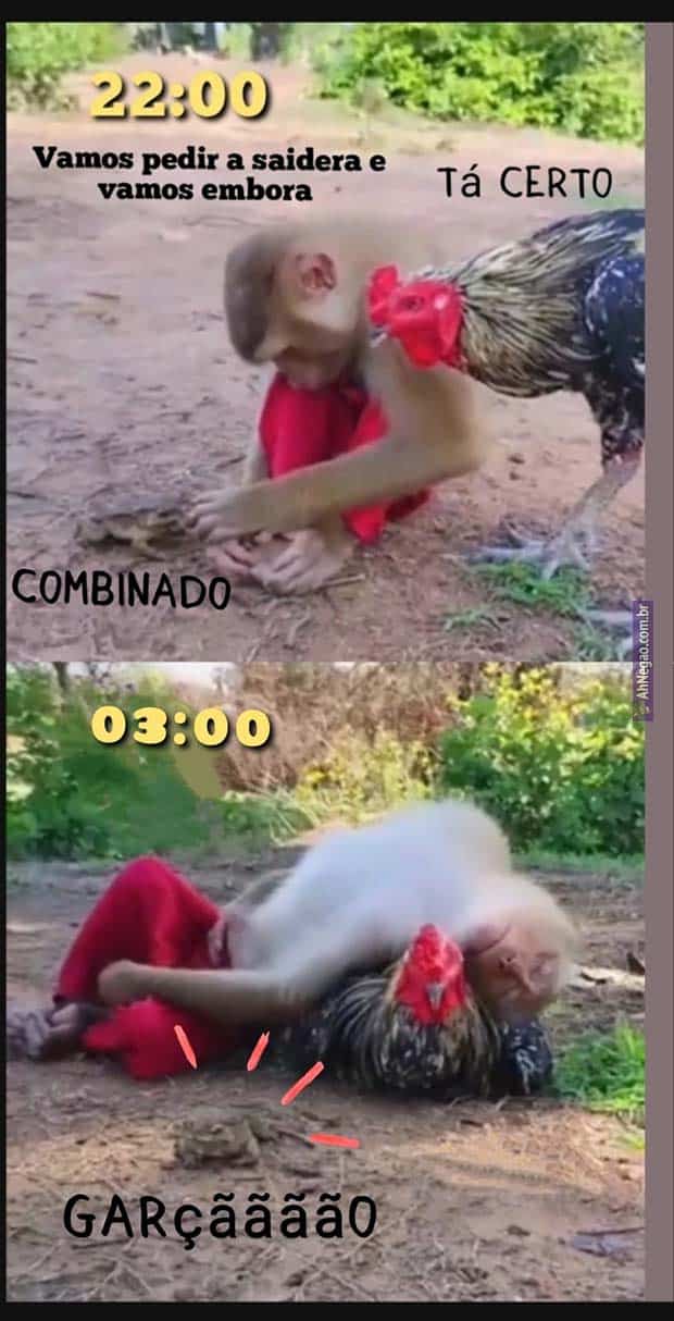 Coletânea De Memes De Sexta 29/07 - Não Intendo