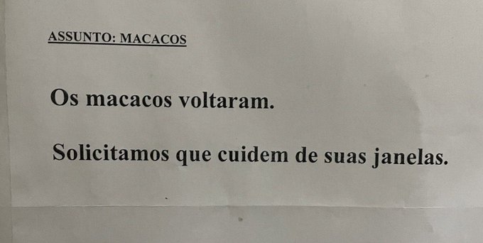 ASSUNTO: MACACOS Os macacos voltaram. Solicitamos que cuidem de suas janelas.