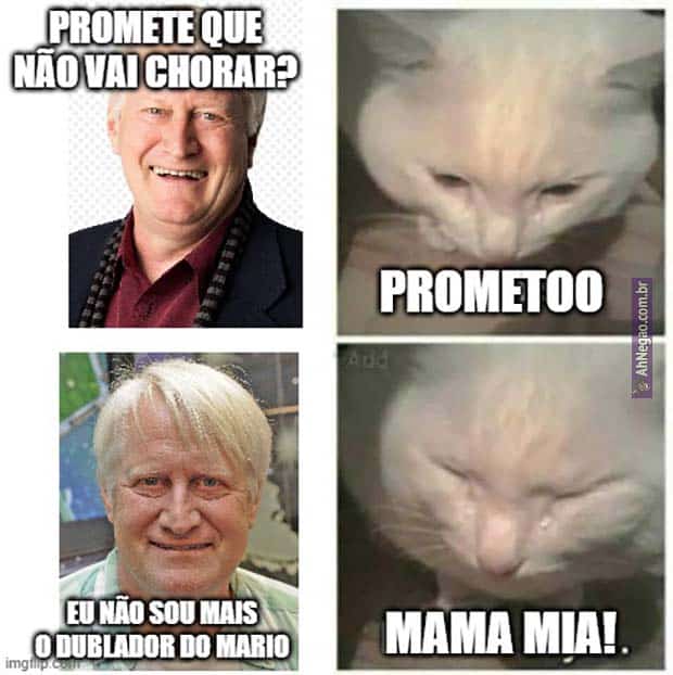 Coletânea de memes aleatórios de quarta-feira (#22)